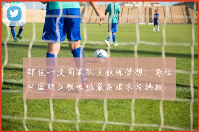 邵佳一谈国家队主教练梦想：每位中国职业教练的最高追求与挑战